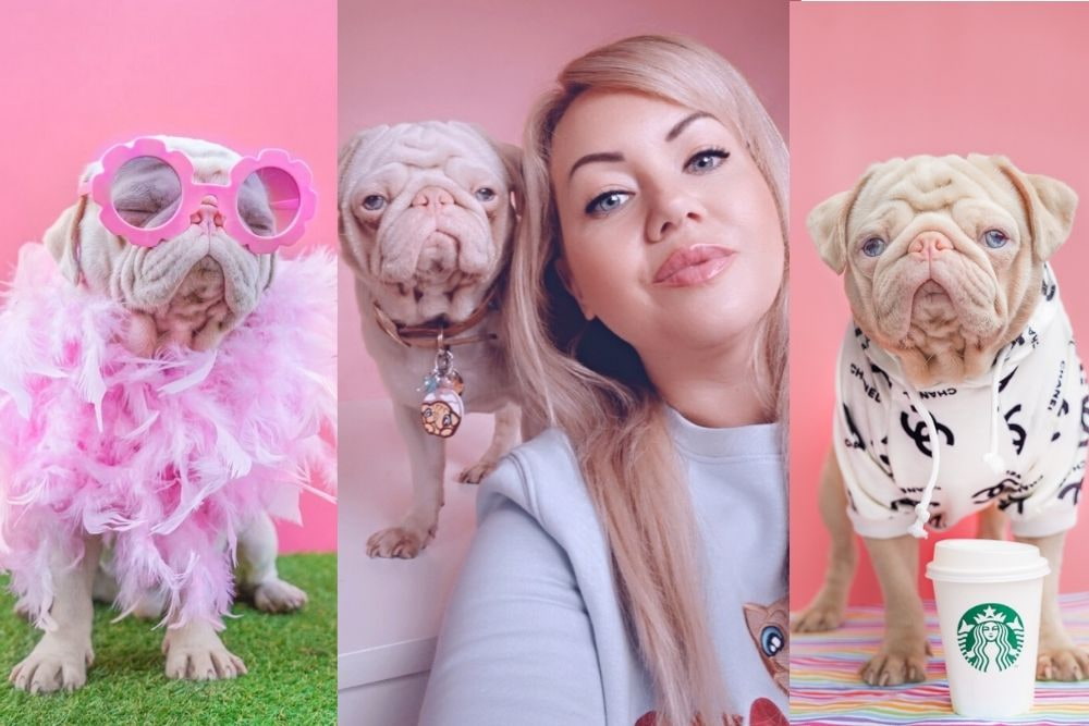 Milkshake the Pink pug with his owner Maria 