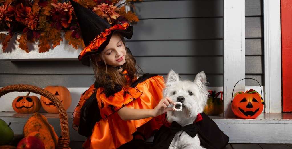 Girl dressed as a witch trick or treating with her dog at Halloween