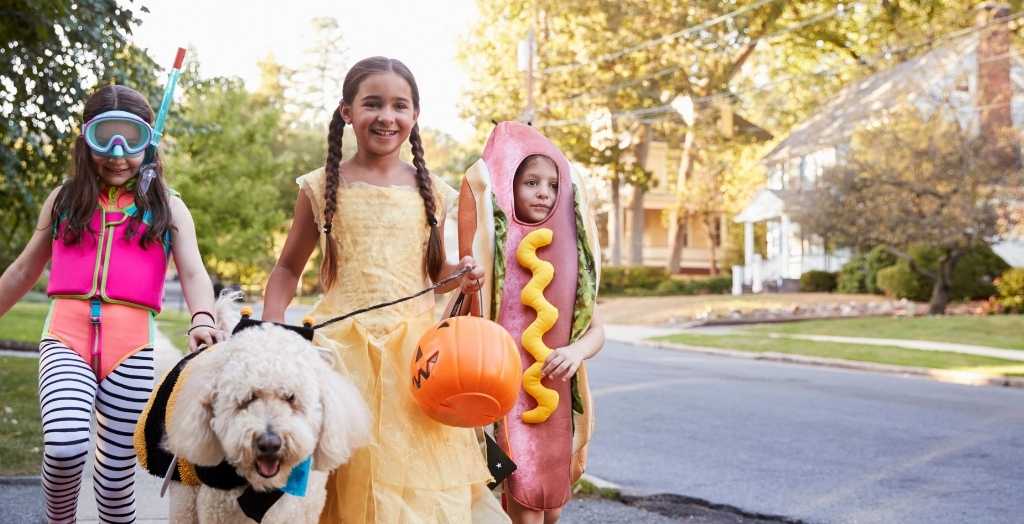 Children trick or treating in costume with their dog at Halloween