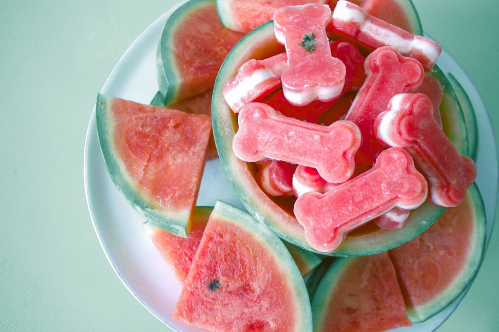 A  Summer Favourite: Chicken And Apple Pupsicles