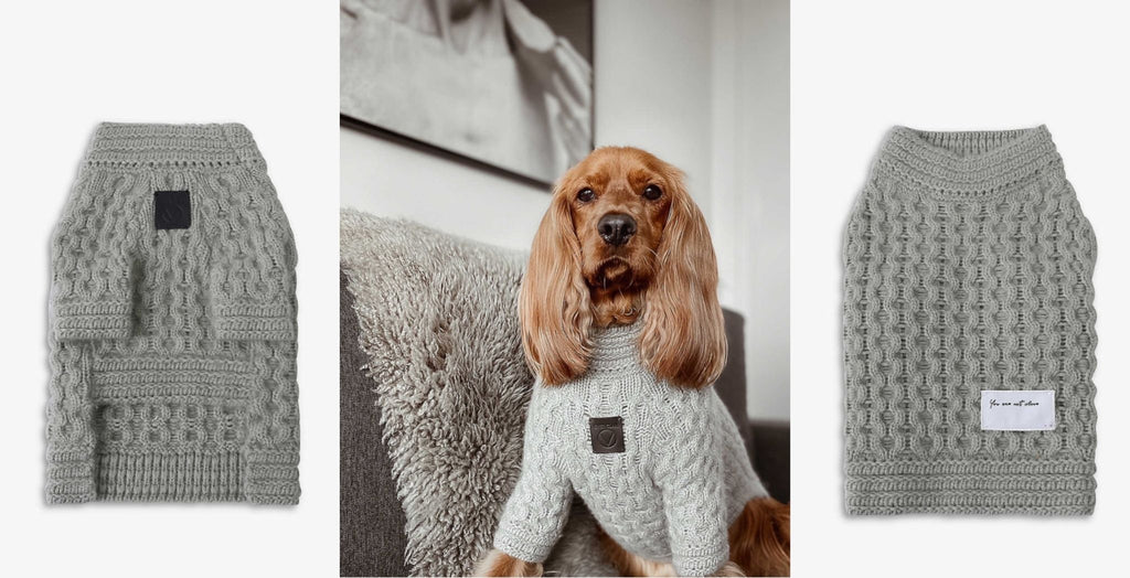 Overglam dog jumpers on sale this boxing day