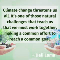 Dali Lama environmental quote 