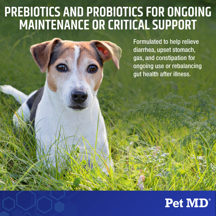 can much probiotics cause diarrhea in dogs