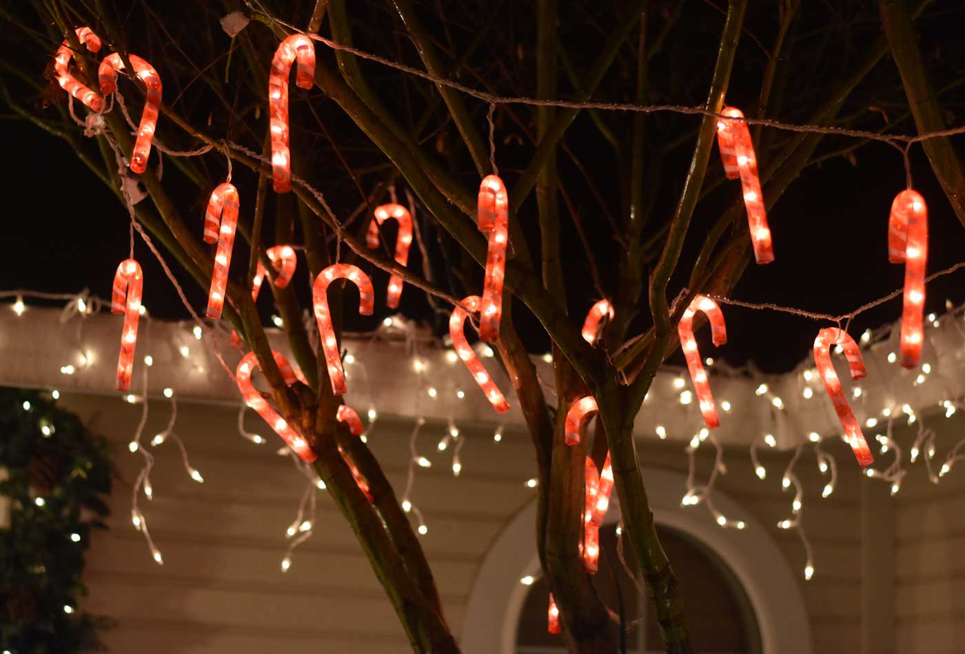 zeigt ein Bild von Zuckerstangen an einem Baum – Ideen für das Thema Weihnachtsfeier