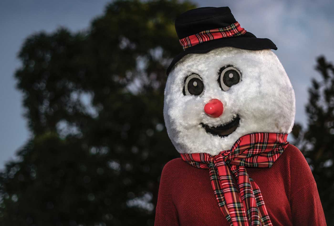 shows an image of a snowman costume