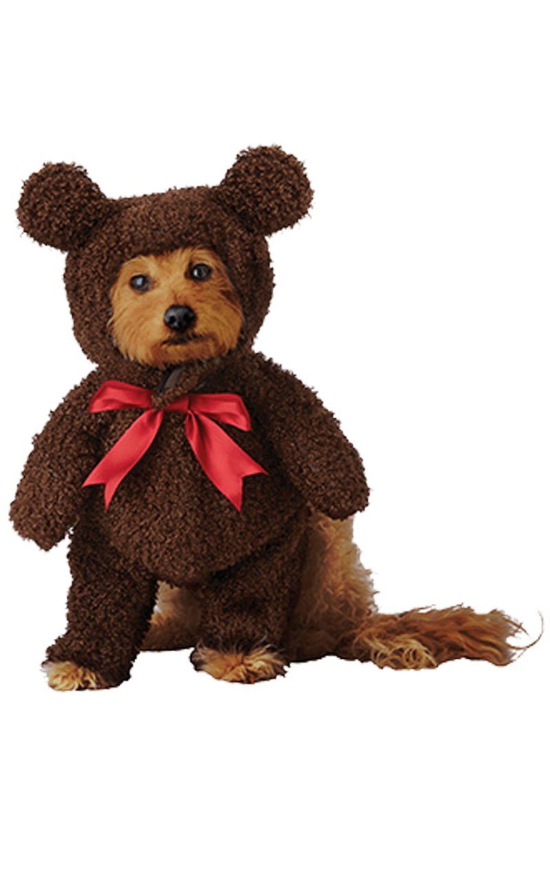 Bear Costumes & Fancy Dress 