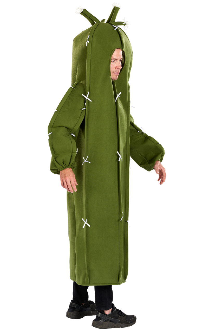 Adult Funny Cactus Costume - fancydress.com