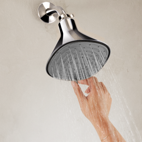 Canopy filtered showerhead in polished chrome