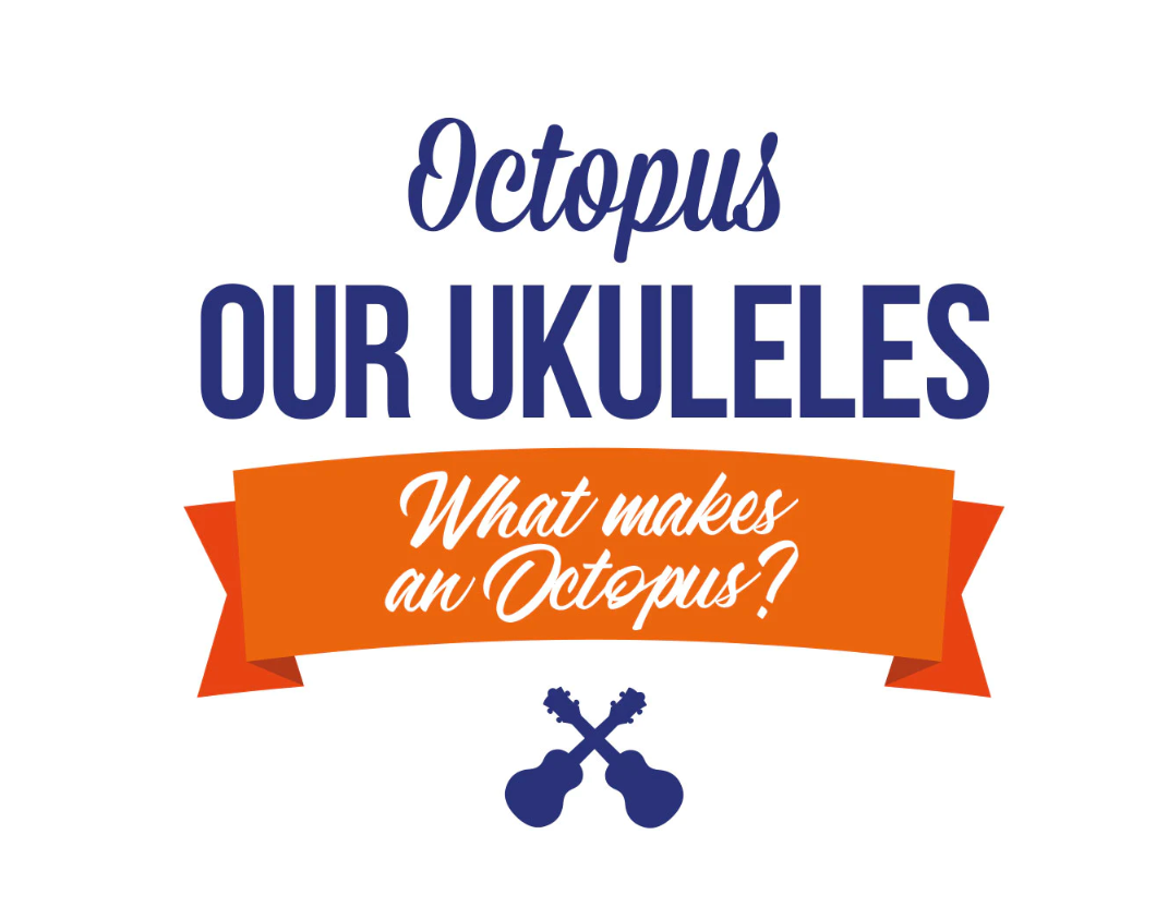 Octopus Banner