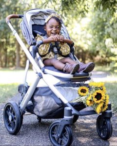 UPPAbaby VISTA Stroller- Henry