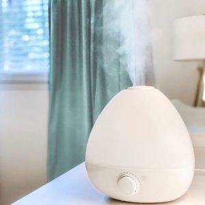 Breathefrida The Humidifier