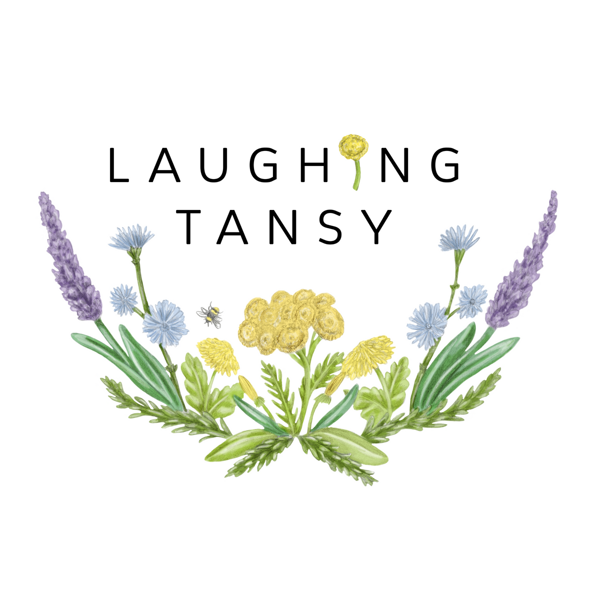 Laughing Tansy