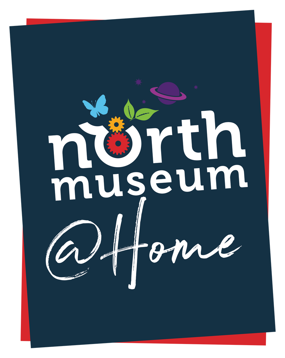 northmuseumathome.org