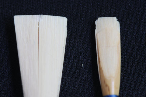 Cracked Bassoon Reed (Left), Chipped Oboe Reed (Right)