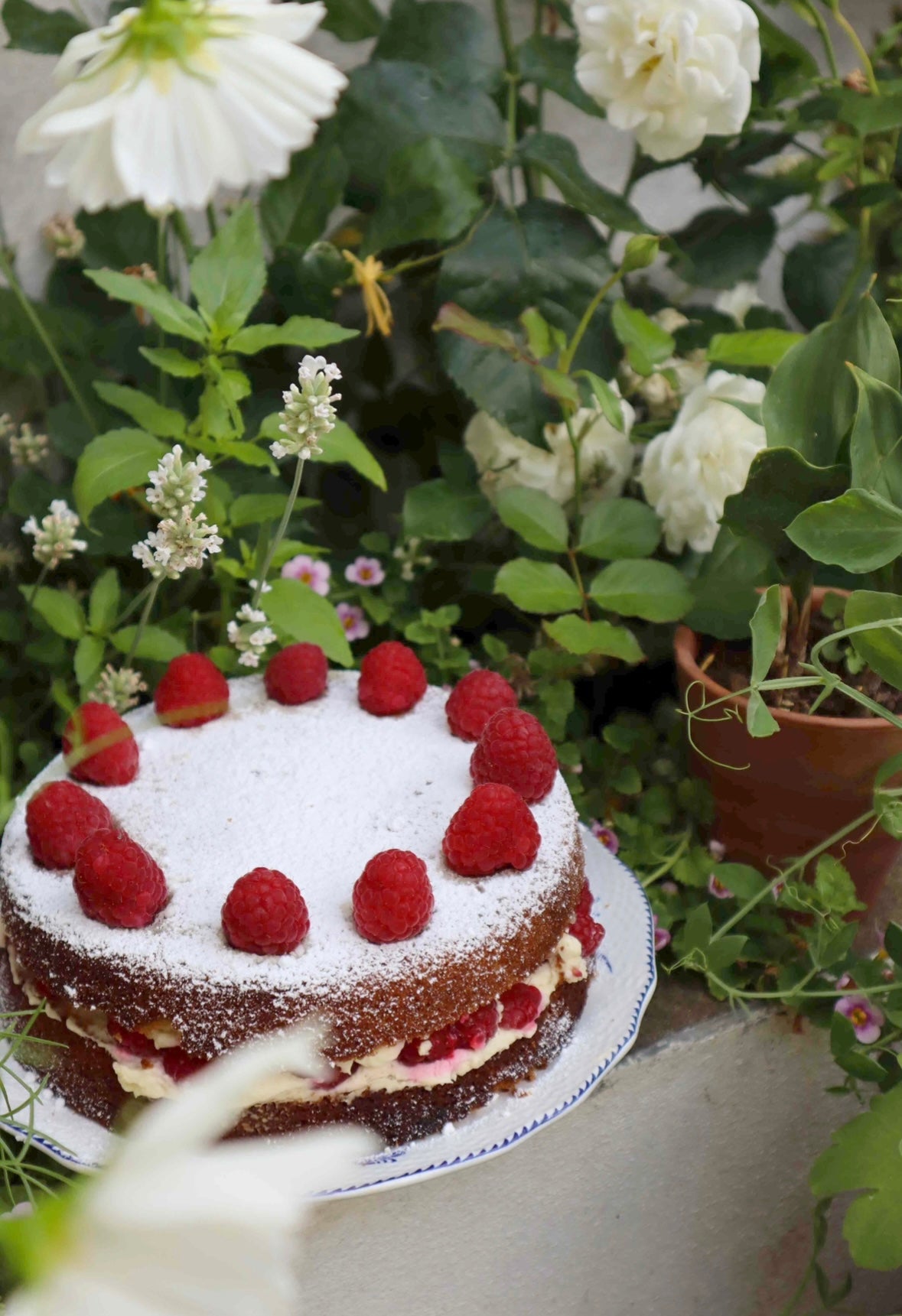 raspberry layer cake