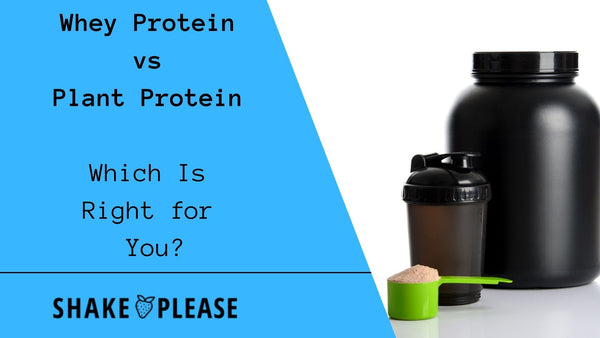 Whey Protein vs Plant Protein: Which Is Right for You?