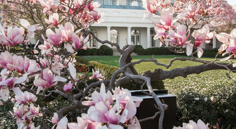 2014 Presidential Rose Garden