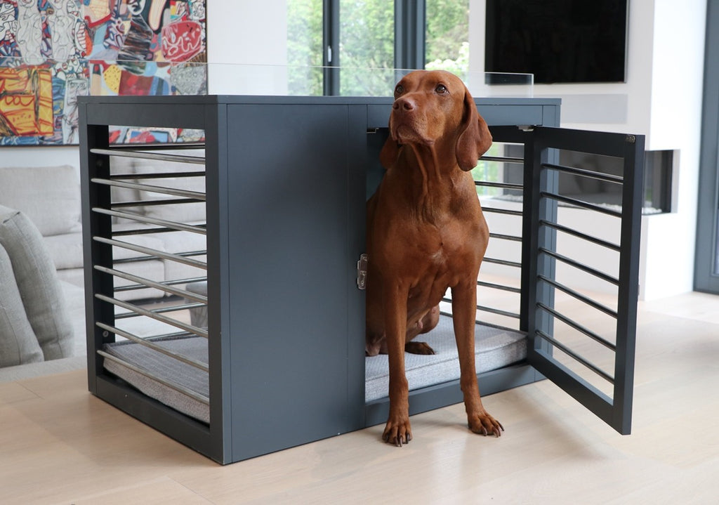 contemporary dog crate