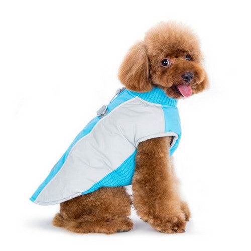 Dogo Pet Fashions Mountain Hiker Winter Dog Coat – Fetch