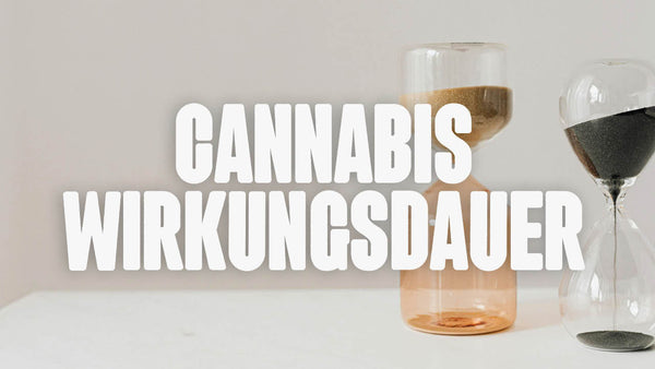 Cannabis Wirkungsdauer