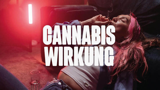 Cannabis Wirkung