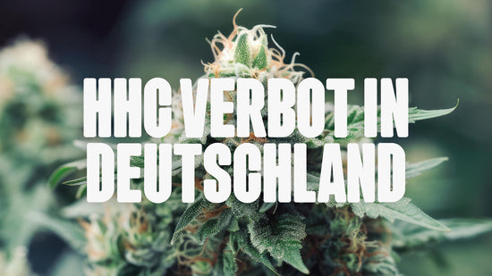 HHC Verbot in Deutschland