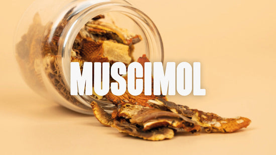 Muscimol