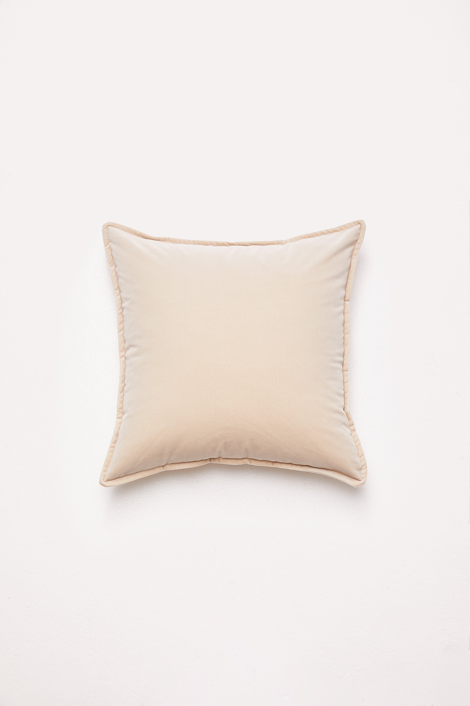 Big Velvet - French Fizz Cushion