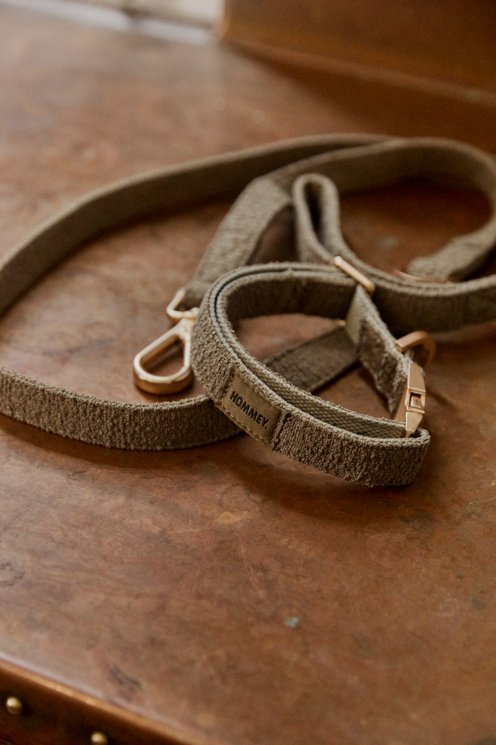 Boucle Pet Collar - Olive