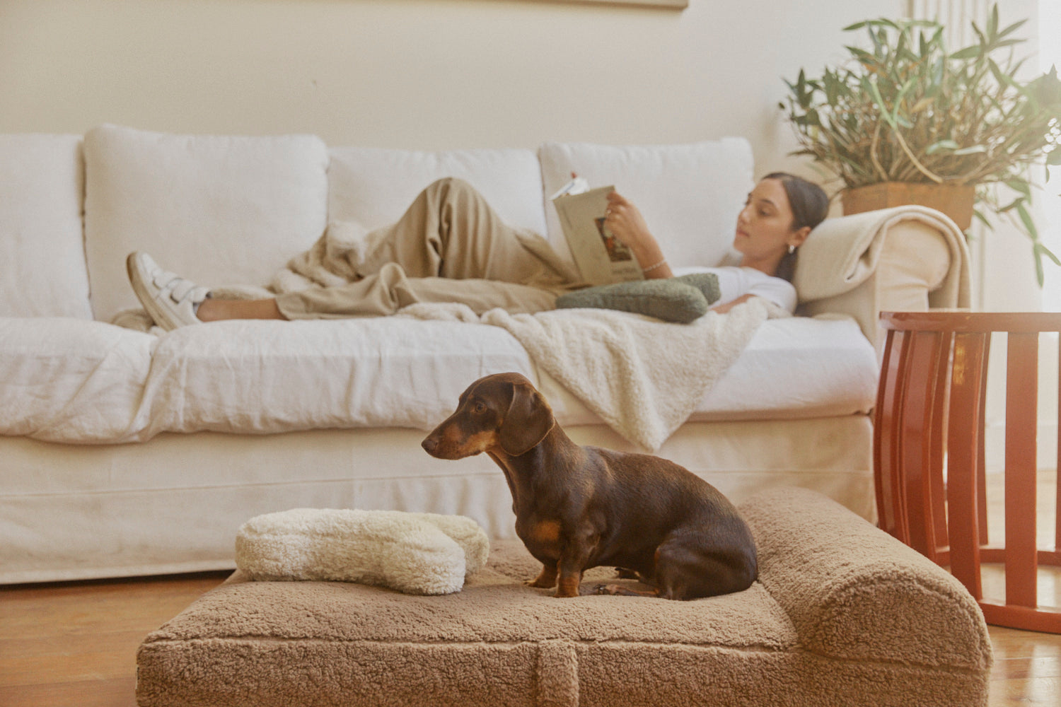 Faux Fur Pet Bed - Tan