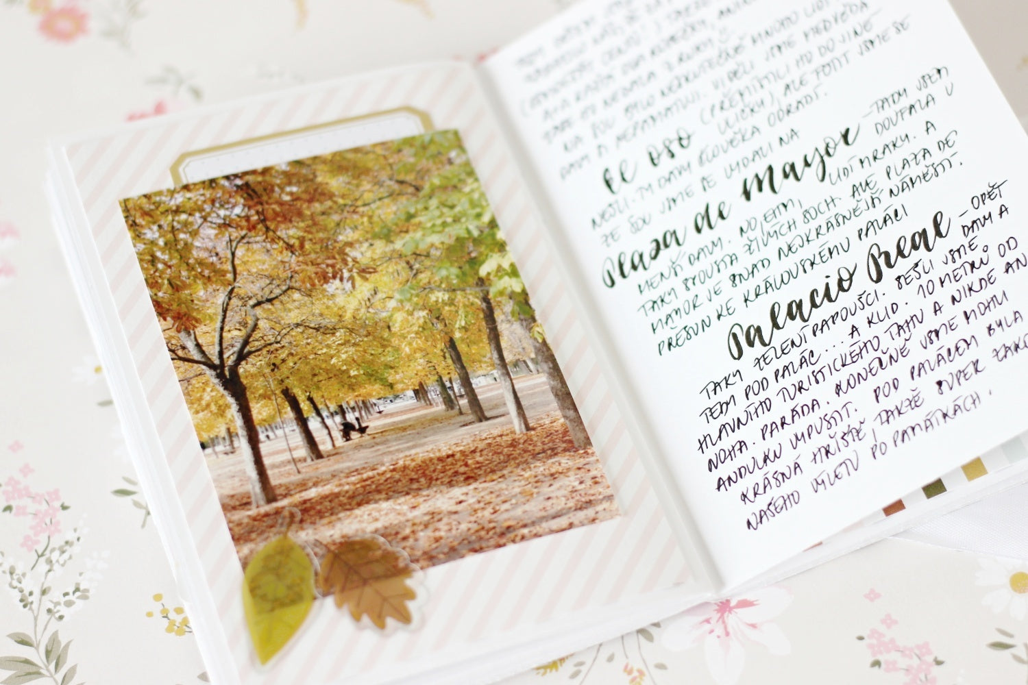 Notebook by Jana Bennett for Felicity Jane