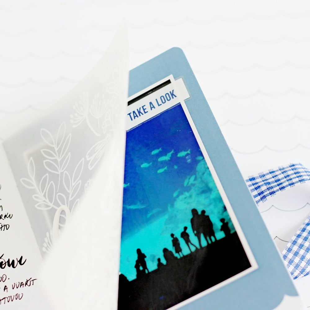 Pocket Traveler's Notebook by Jana Bennett for Felicity Jane