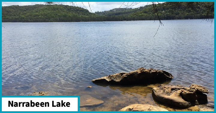 Narrabeen Lake