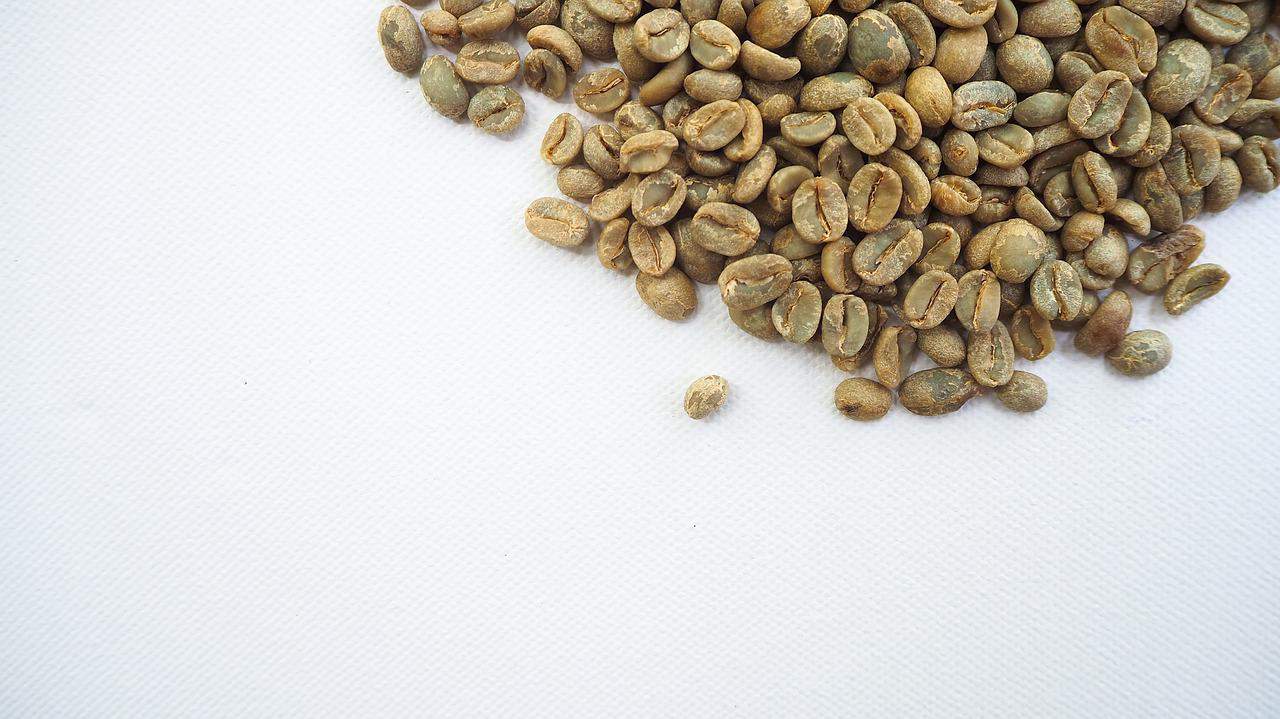 A small pile of green coffee beans. 