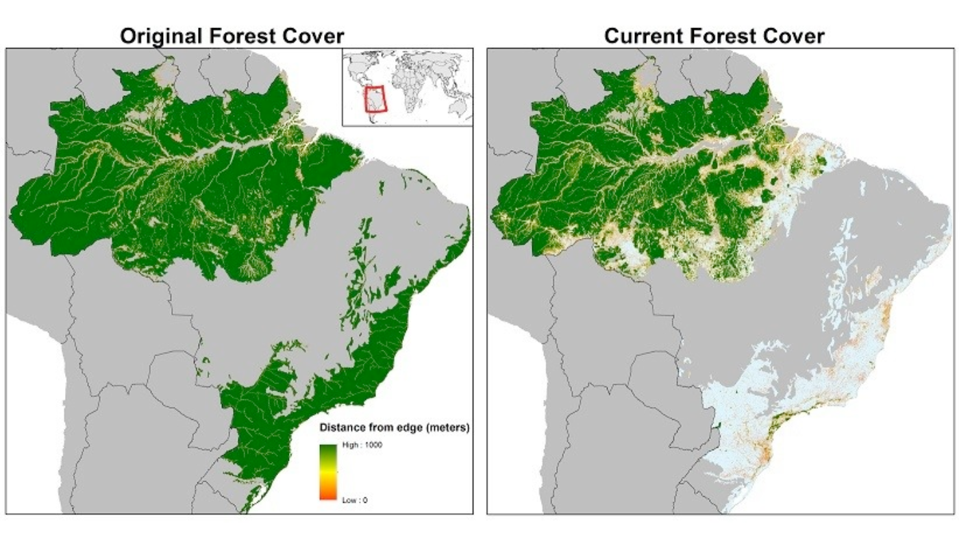Image showing two maps of South America, highlighting the deforestion of the Amazon rainforest from the original to current day destruction. Image by The Guardian