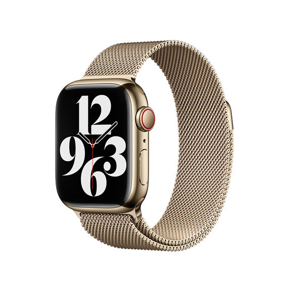 apple watch with stainless steel band