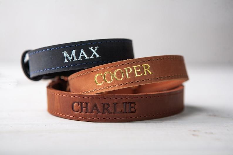 leather projects: dog collars