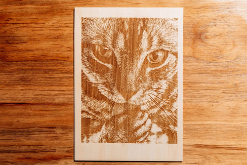 laser engraving a cat pattern on wood