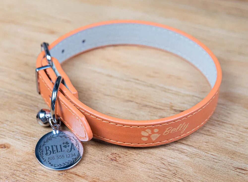 engraved pet tag