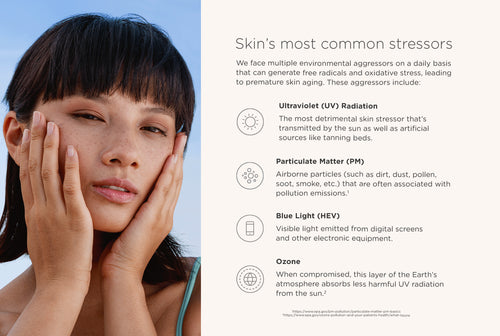 Skin's most common stressors