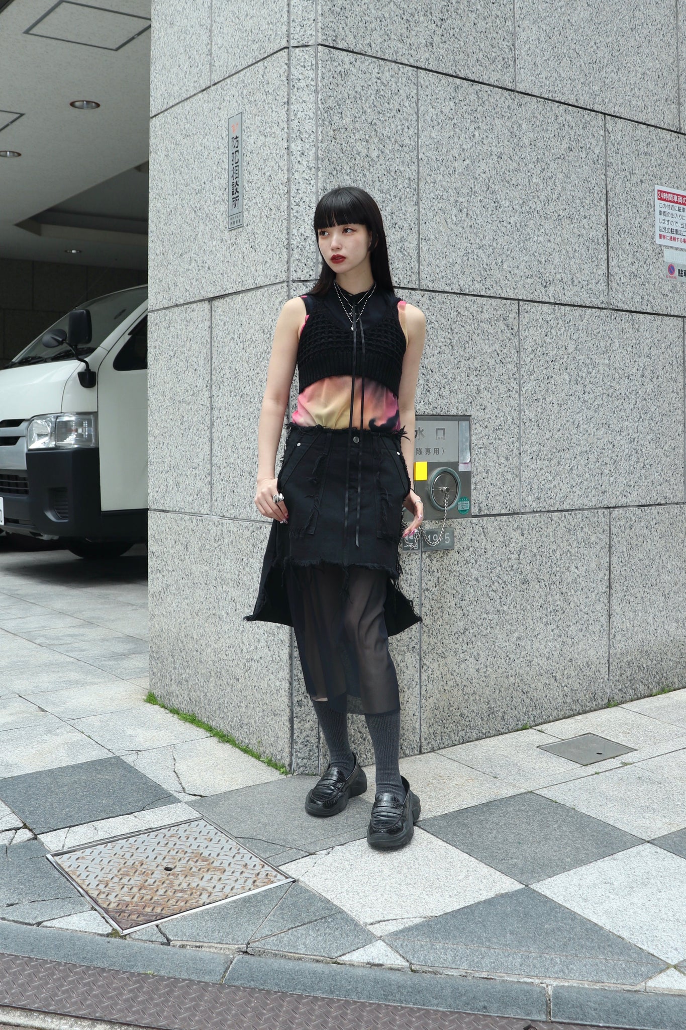 VCF 24SS PHOTO PRINT POWER NET DRESS(BLACK)を使用したスタイリング画像