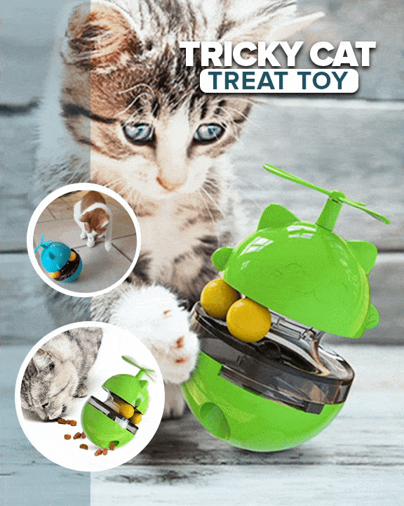 Tricky Cat Treat Toy