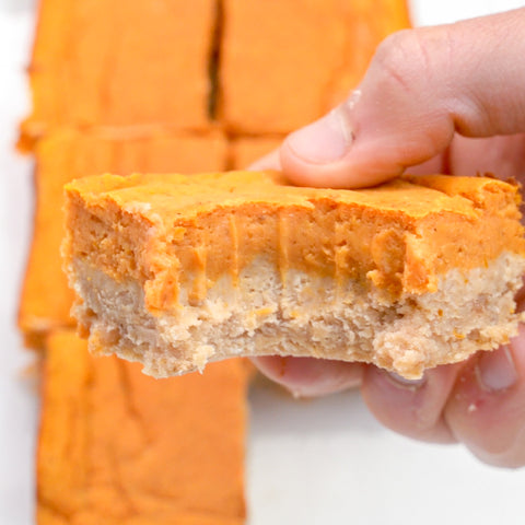 pumpkin pie protein bars