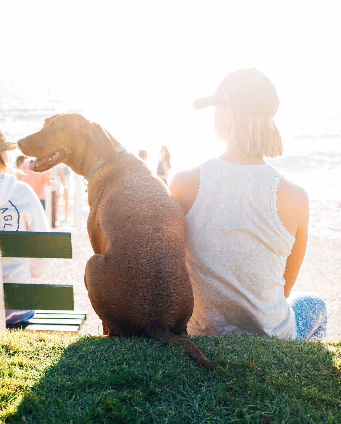 Woman and dog at the park