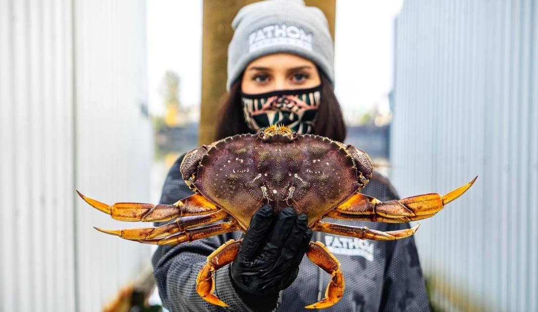 When is Dungeness Crab Season? Fathom Seafood