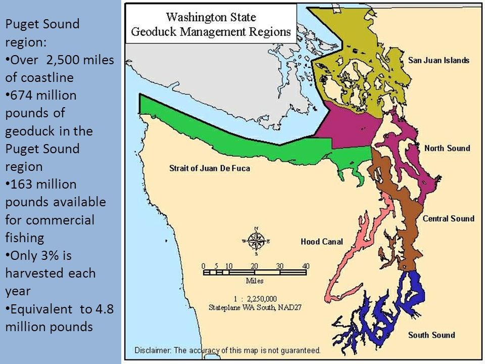 Geoduck Location Map