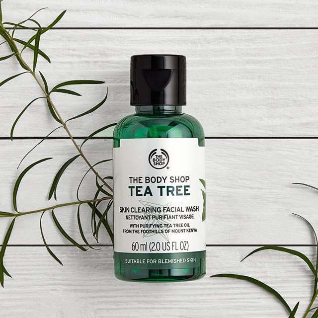 Tea Tree Face Wash | Tea Tree Cleanser | The Body Shop® – The Body Shop ...