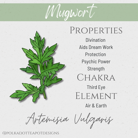 An illustration of mugwort with its botanical name and metaphysical properties