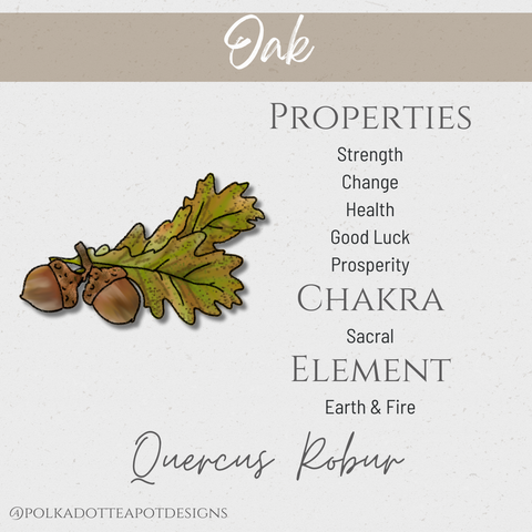 An illustration of oak leaves with its botanical name and metaphysical properties