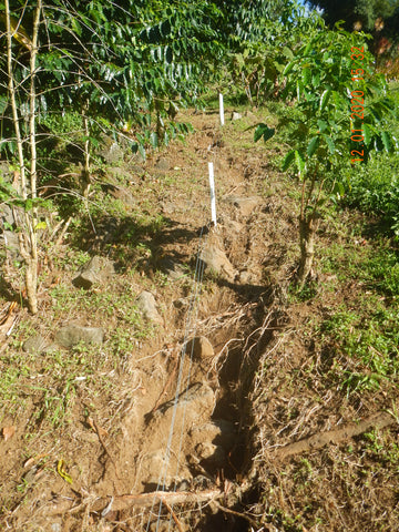 Rancho Aloha Thanksgiving flood damage (pic 1 of 5)